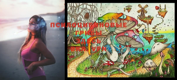 PSILOCYBIN Алексин