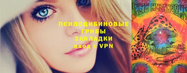 гидропоника Алзамай