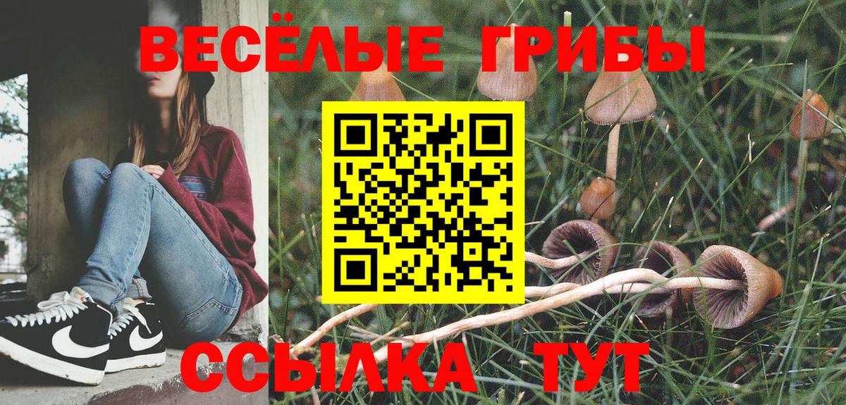 Псилоцибиновые грибы прущие грибы  наркотики  Нефтекумск  Галлюциногенные грибы Magic Shrooms  Вход с VPN 